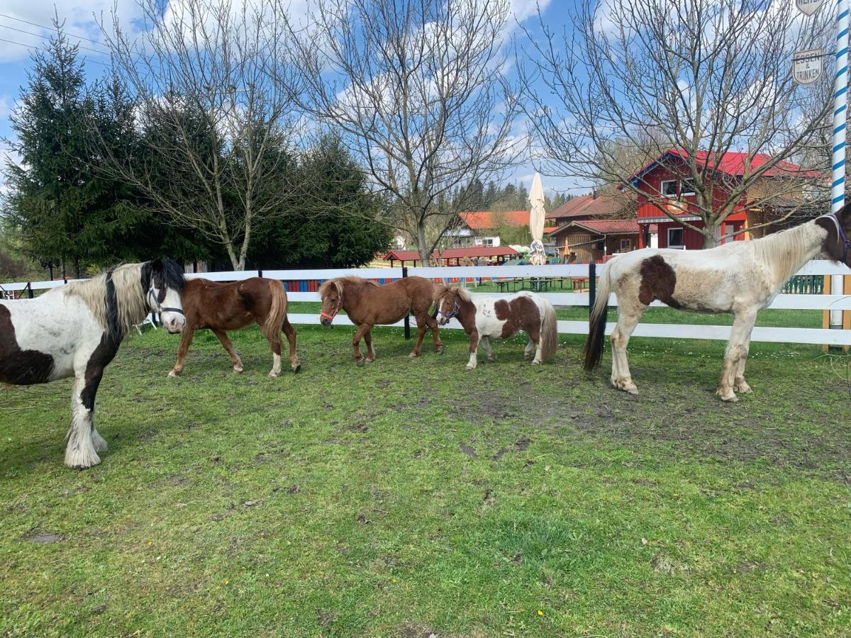 Ferienwohnung Am Ponyhof Altotting Bagian luar foto