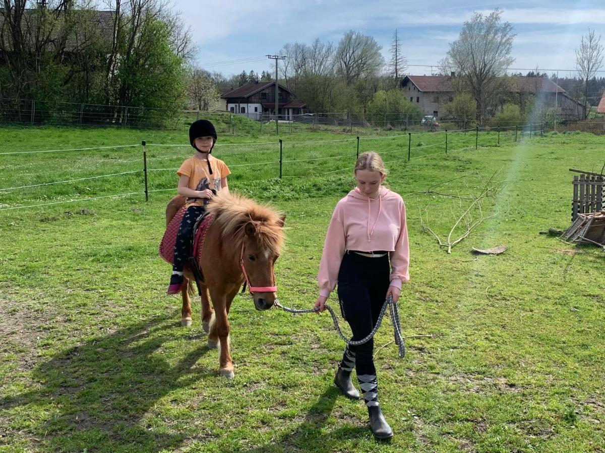 Ferienwohnung Am Ponyhof Altotting Bagian luar foto