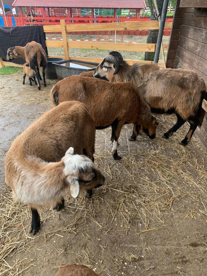 Ferienwohnung Am Ponyhof Altotting Bagian luar foto